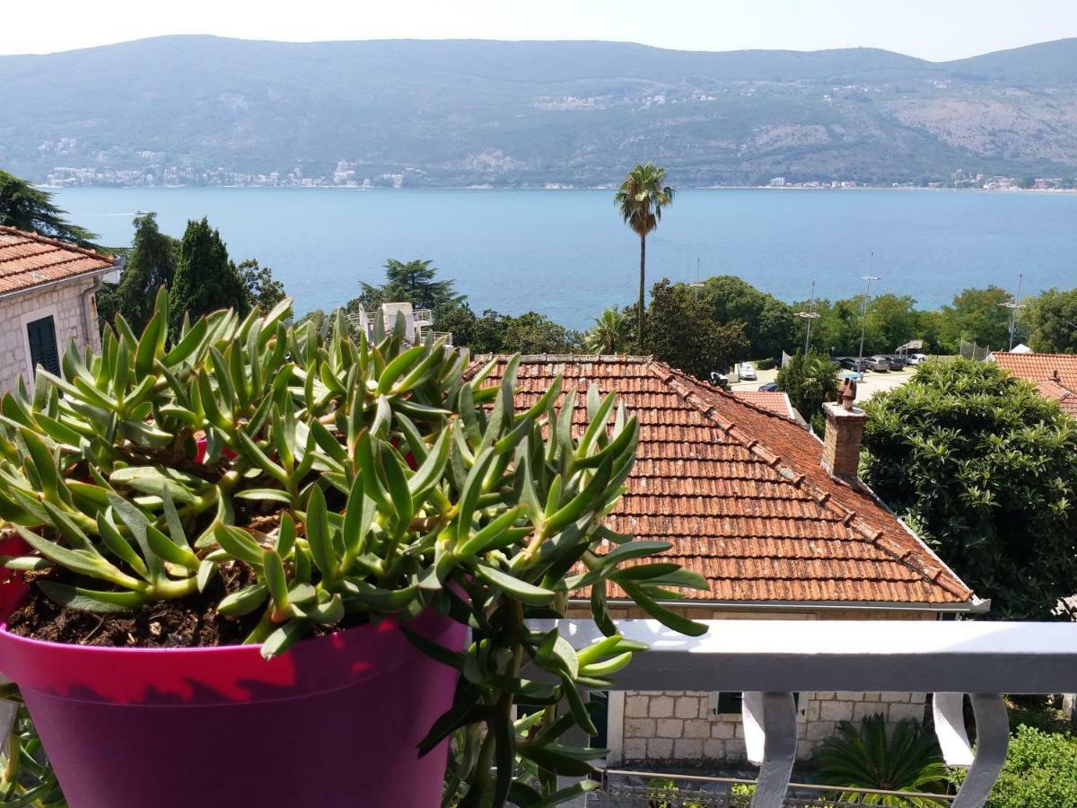 Apartments And Rooms Bumerang Herceg Novi Ngoại thất bức ảnh